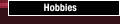 Hobbies